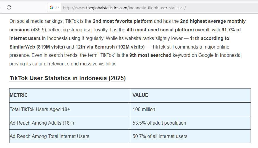 statistik tiktok