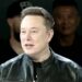 Dewan Kota New York Panggil Elon Musk dalam Investigasi Keamanan AI