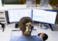 AI untuk Coding Tagihan Rumah Sakit Picu Kekhawatiran Biaya