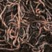 SDK Tensorlake versi 0.5.144 Disusupi Worm Pencuri Kredensial