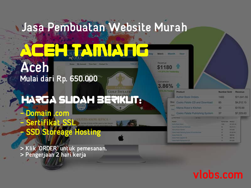 Jasa Pembuatan Website Murah Di Aceh Tamiang - Aceh