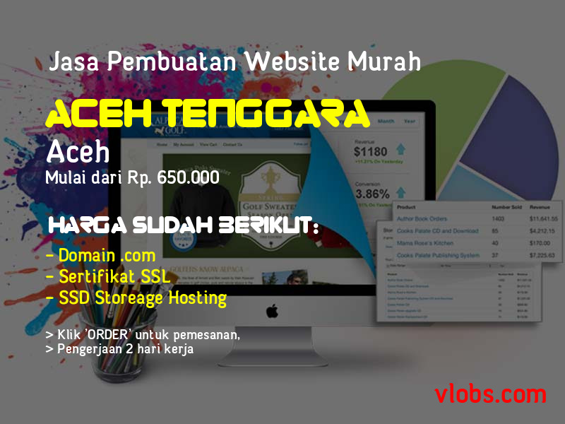 Jasa Pembuatan Website Murah Di Aceh Tenggara - Aceh
