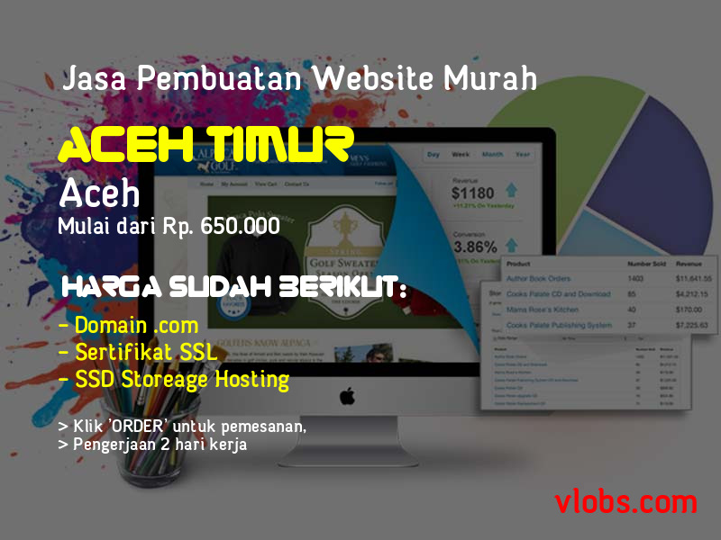 Jasa Pembuatan Website Murah Di Aceh Timur - Aceh