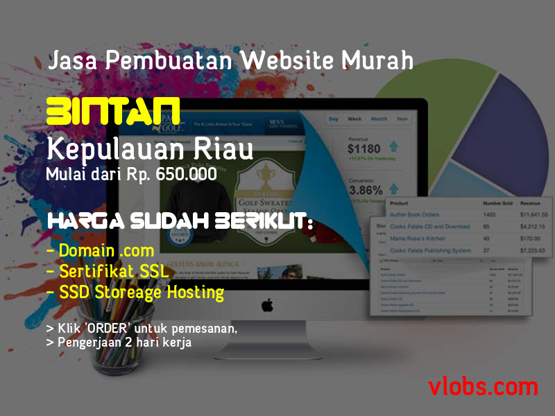 Jasa Pembuatan Website Murah Di Bintan - Kepulauan Riau