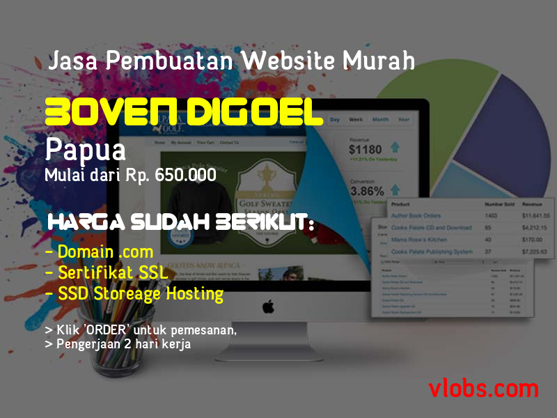 Jasa Pembuatan Website Murah Di Boven Digoel - Papua