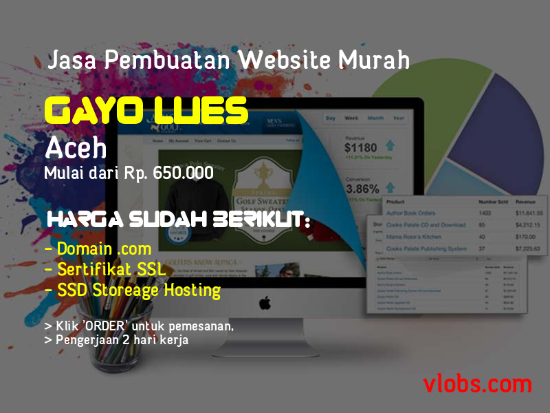 Jasa Pembuatan Website Murah Di Gayo Lues - Aceh