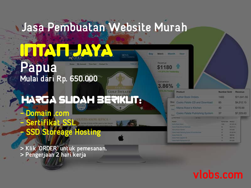 Jasa Pembuatan Website Murah Di Intan Jaya - Papua