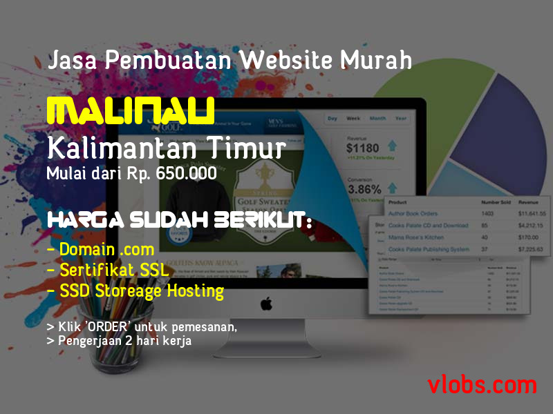 Jasa Pembuatan Website Murah Di Malinau - Kalimantan Timur