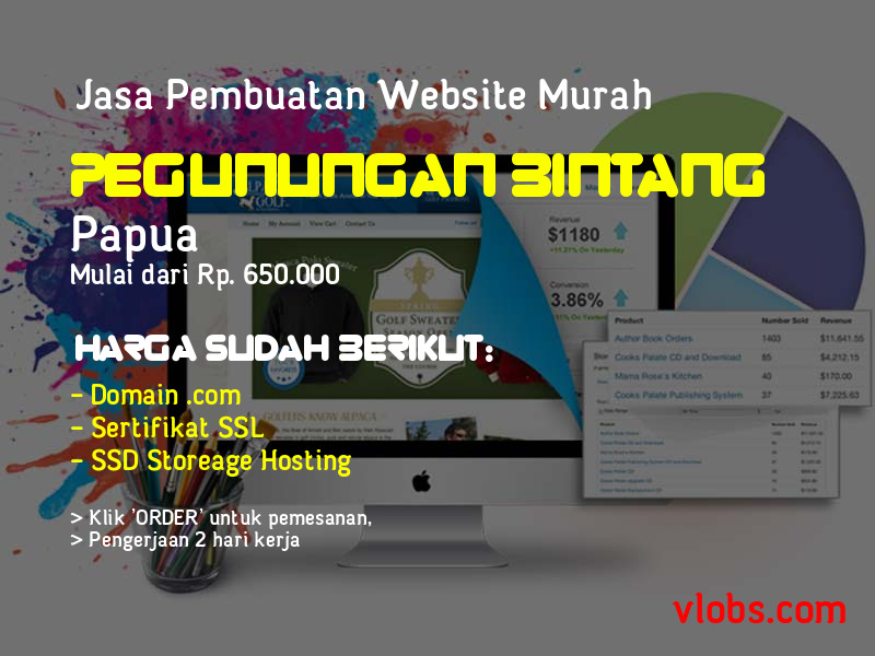 Jasa Pembuatan Website Murah Di Pegunungan Bintang - Papua