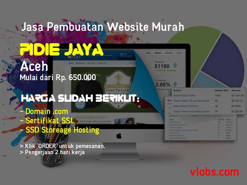 Jasa Pembuatan Website Murah Di Pidie Jaya - Aceh