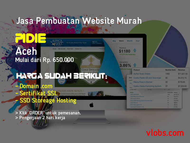 Jasa Pembuatan Website Murah Di Pidie - Aceh