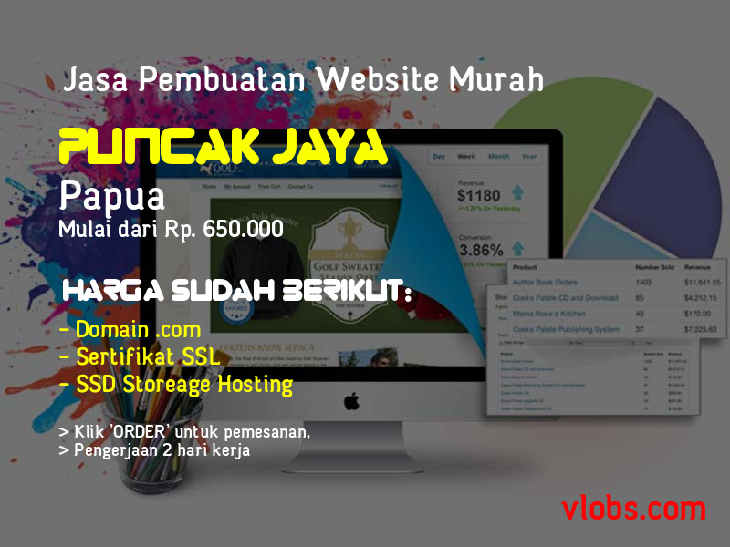 Jasa Pembuatan Website Murah Di Puncak Jaya - Papua