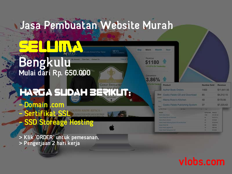 Jasa Pembuatan Website Murah Di Seluma - Bengkulu